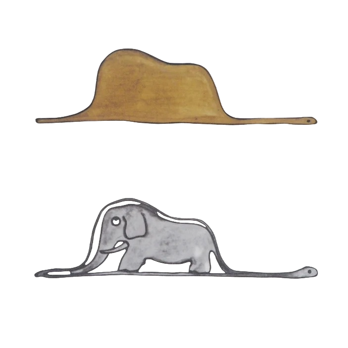 The snake has swallowed the elephant